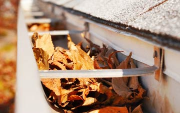 Buslingthorpe gutter cleaning companies